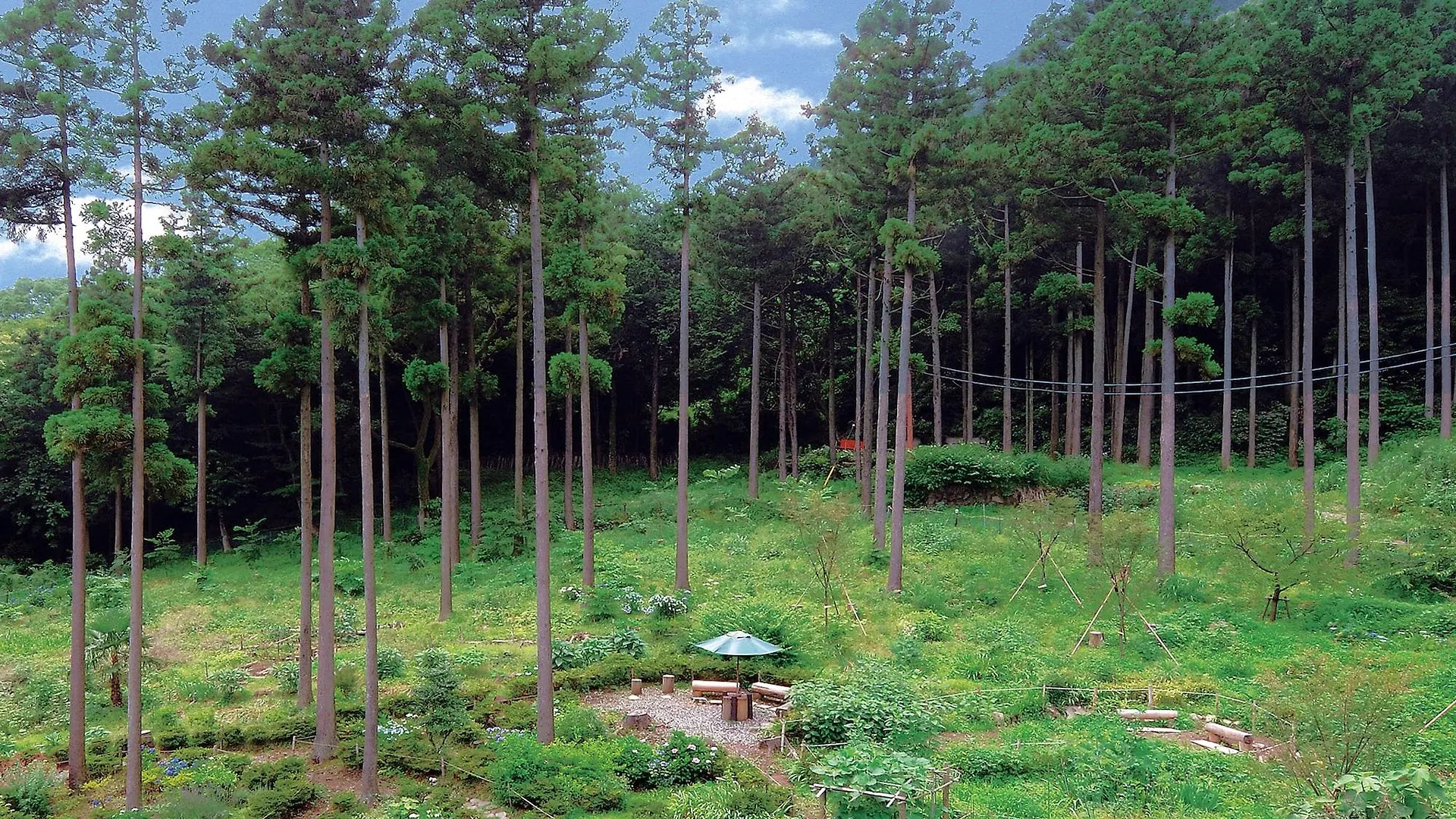 Hakonenomori Okada Hotel Japan
