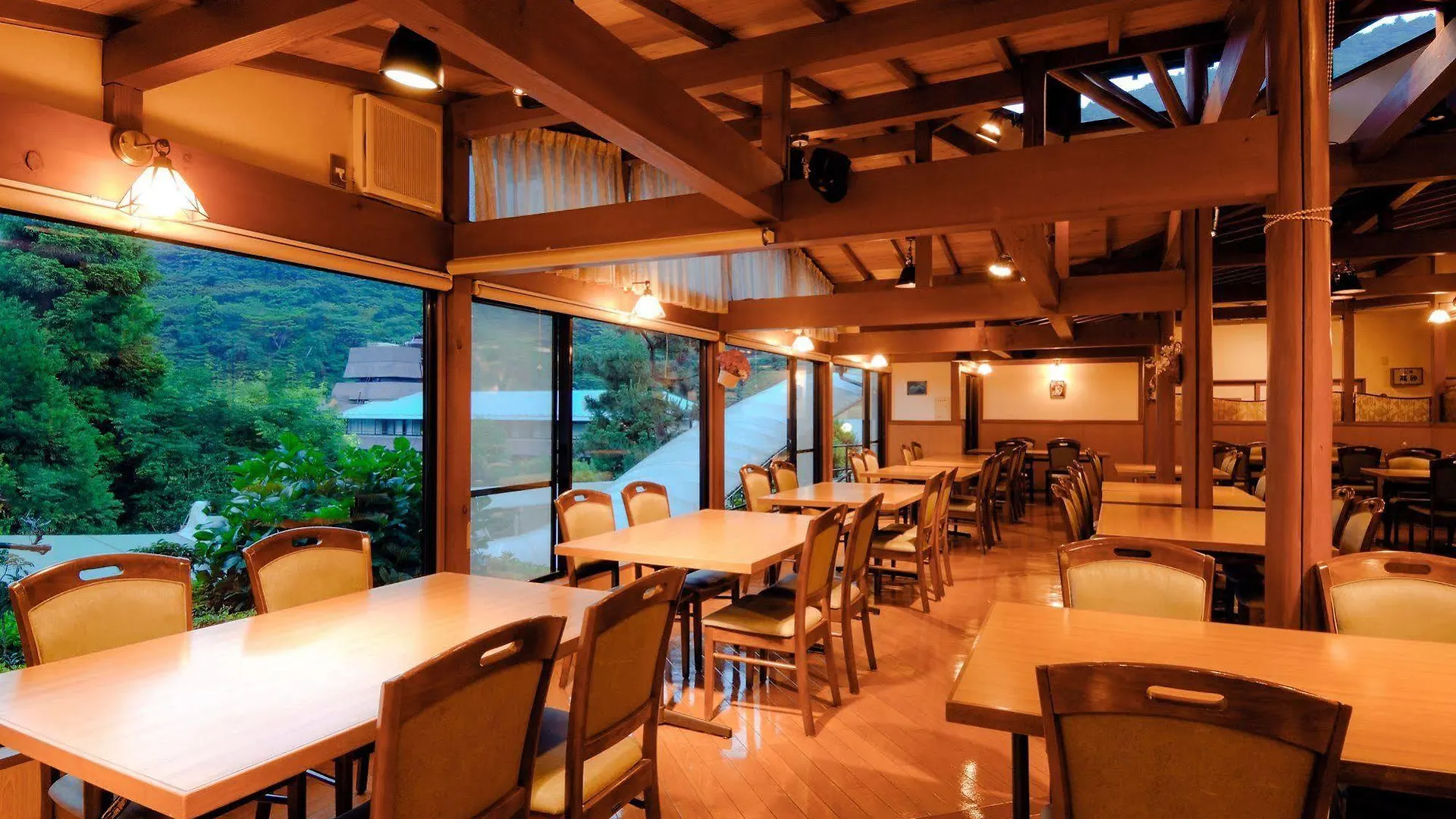 Hotel Hakonenomori Okada 4*, Hakone
